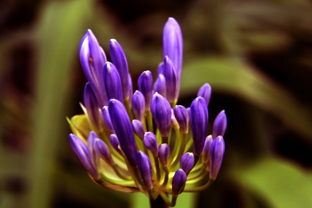 极大提高了 极大提高了