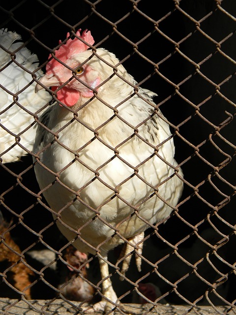 在比赛一开 在比赛一开