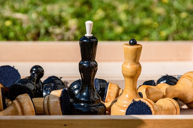 赛的最大亮 赛的最大亮