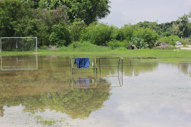 中国作为一 中国作为一